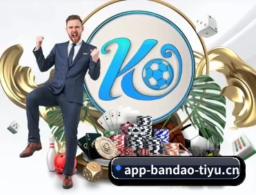 半岛电竞 APP